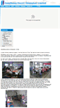 Mobile Screenshot of fengsheng-sh.com